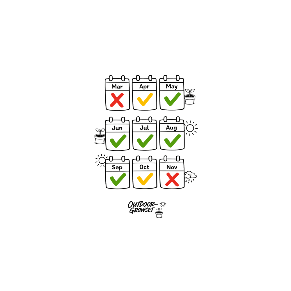 Outdoor-Growset Kalendergrafik mit empfohlenen Monaten für den Outdoor-Anbau